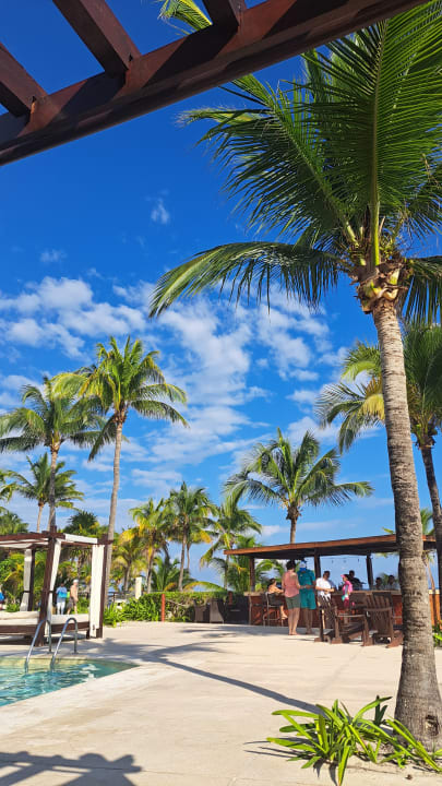 Pool Akumal Bay Beach & Wellness Resort