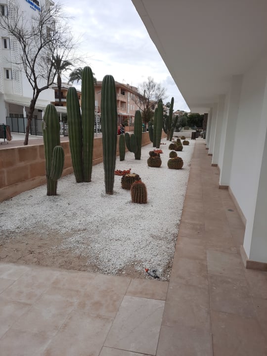 Außenansicht The Sea Hotel by Grupotel - Adults only