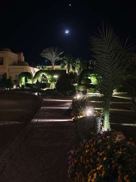 Gartenanlage Wadi Lahmy Azur Resort
