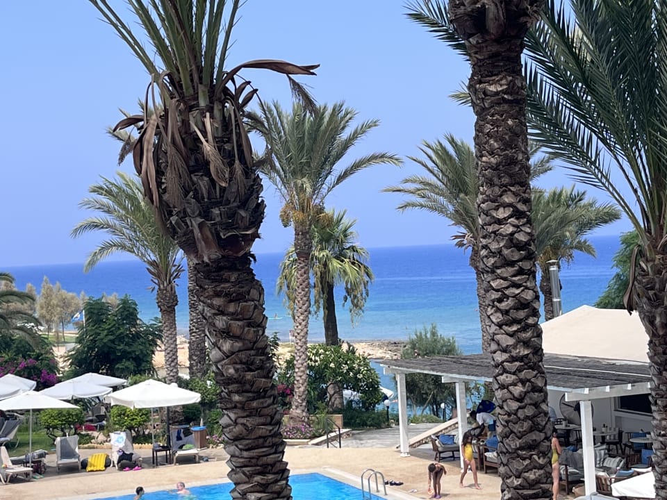 Ausblick Crystal Springs Beach Hotel