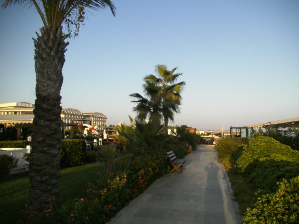 Alles grün Crystal Family Comfort Collection