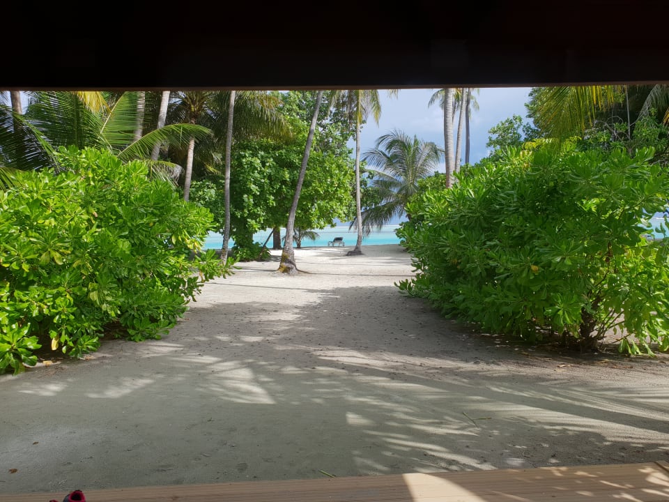 Ausblick Meeru Maldives Resort Island