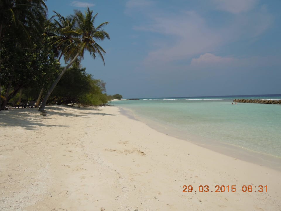The beach in front of our villa Kuredu Island Resort & Spa