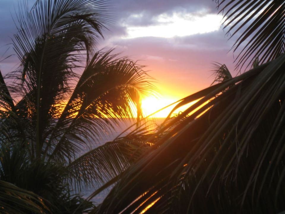 Sonnenuntergang in Flic en Flac  Hotel Villas Caroline