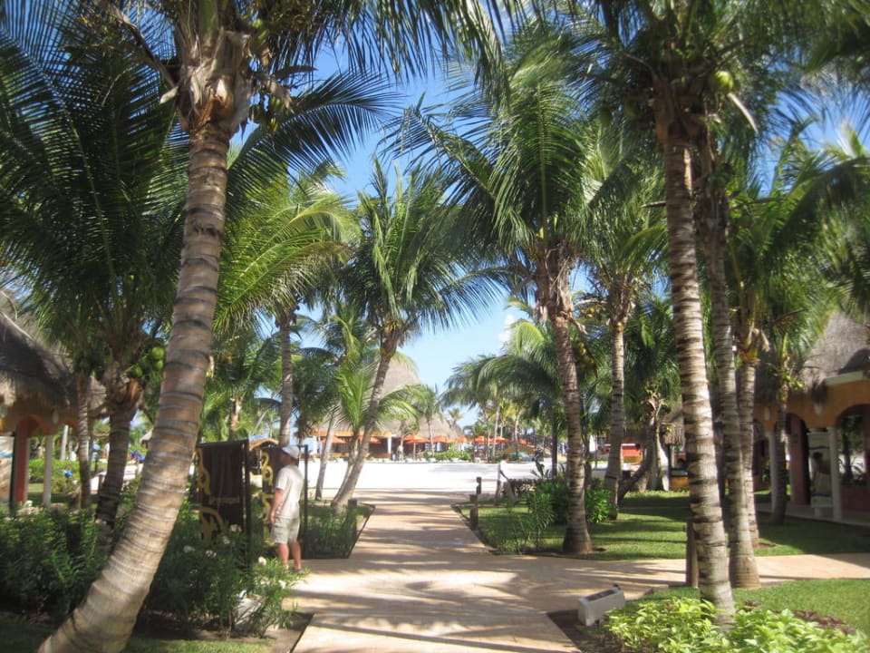 Gartenanlage Catalonia Playa Maroma