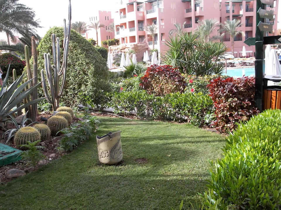 Ogród Rehana Sharm Resort Aqua Park & Spa