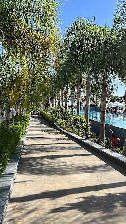 Gartenanlage Mylome Luxury Hotel & Resort