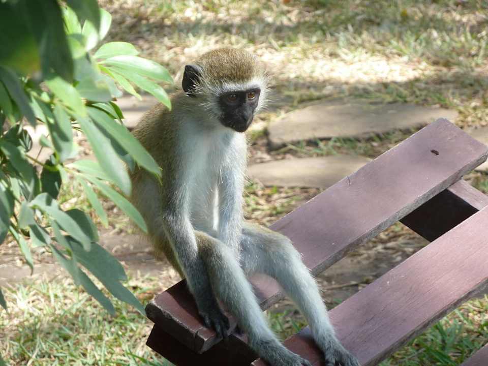Schaun ma mal was die Menschen da so treiben  Hotel Papillon Lagoon Reef