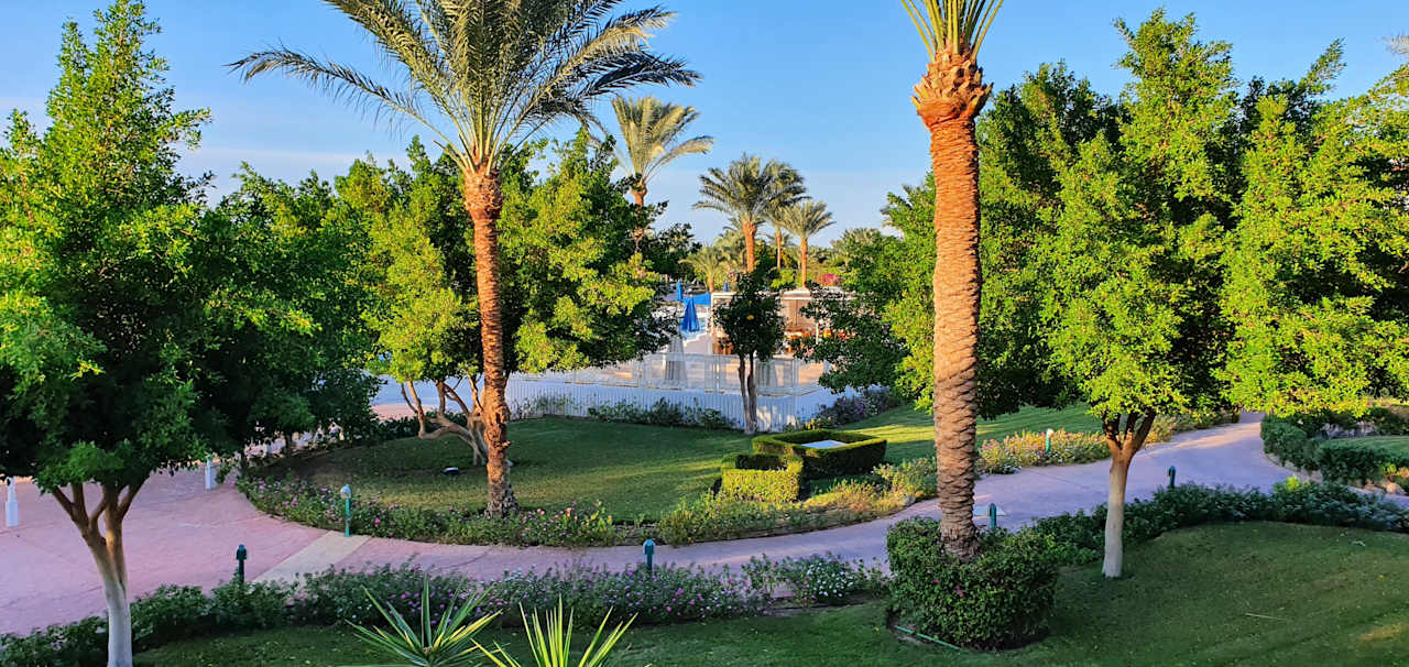 Gartenanlage Desert Rose