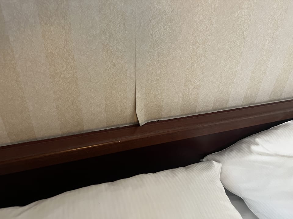 Zimmer Parkhotel 1901 Mannheim