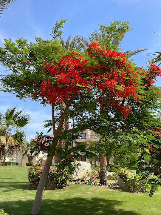 Außenansicht Jaz Dar EL Madina