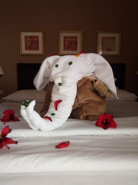 Zimmer Steigenberger Coraya Beach - Adults only