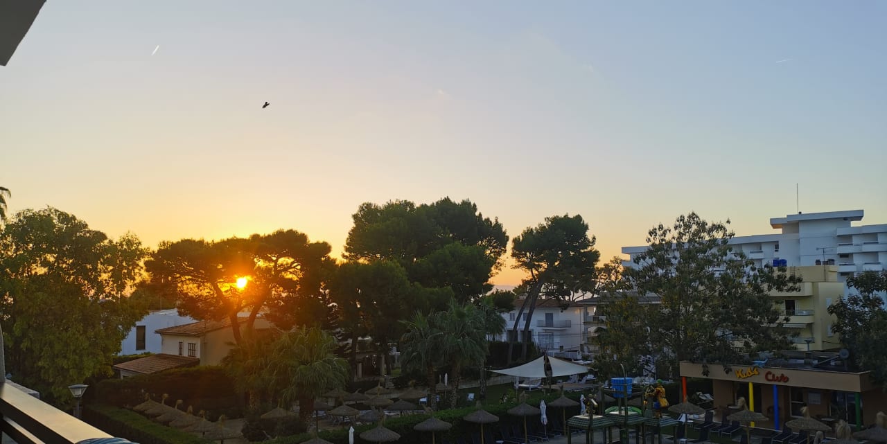 Ausblick allsun Hotel Eden Alcudia