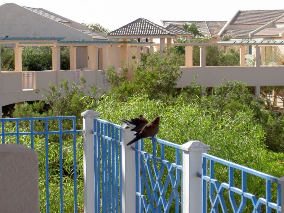 Verbindungs Wege Mövenpick Resort & Spa El Gouna