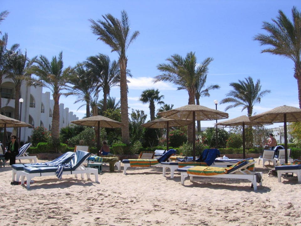 Ort zum Relaxen "Der Strand" Arabia Azur Resort