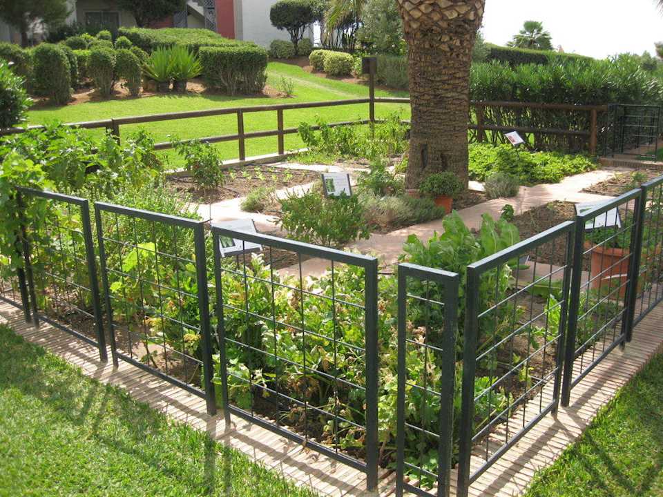 Kleiner Kräutergarten Fuerte Conil-Resort