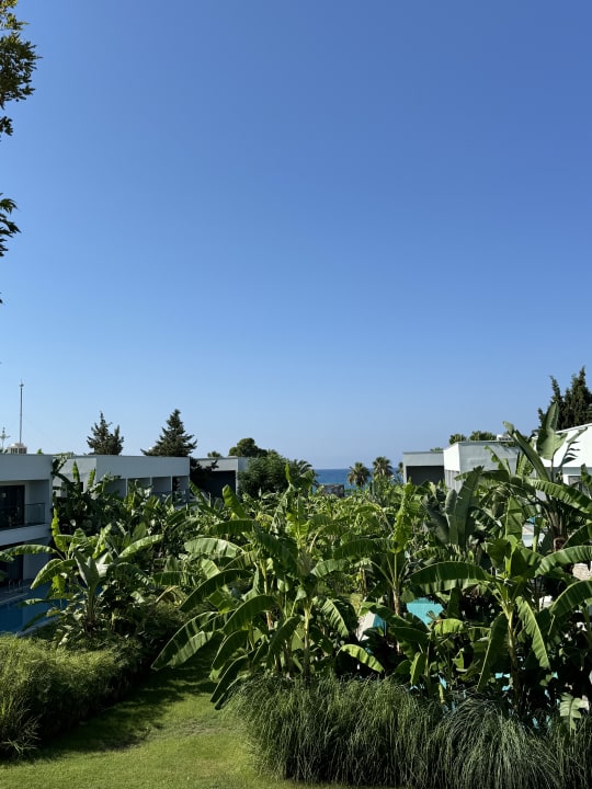 Gartenanlage Paloma Finesse