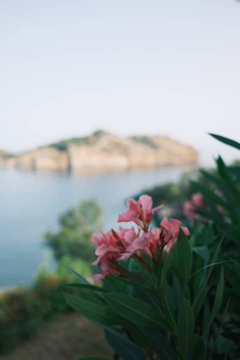 Gartenanlage TUI BLUE Seno - Adults Only