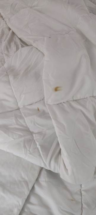 Zimmer Hotel La Quinta Inn Reno Airport