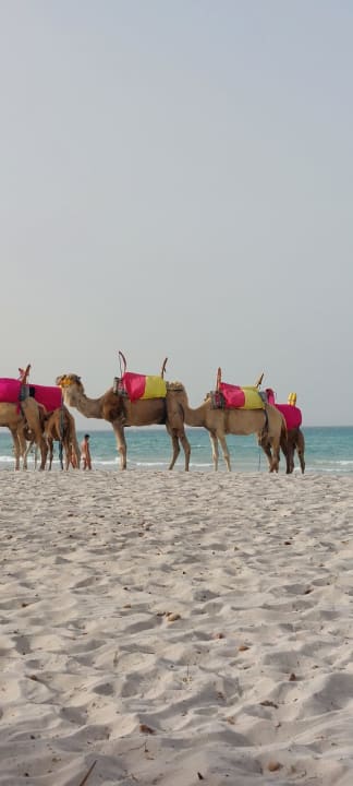 Strand Les Quatres Saisons & Thalasso Djerba