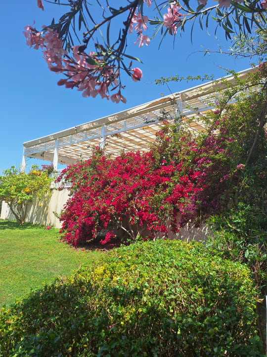 Gartenanlage Can Garden Resort