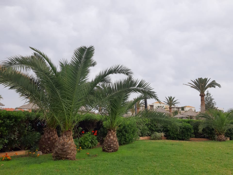 Gartenanlage Anissa Beach & Village