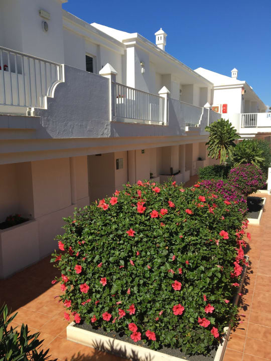 Gartenanlage H10 Ocean Suites