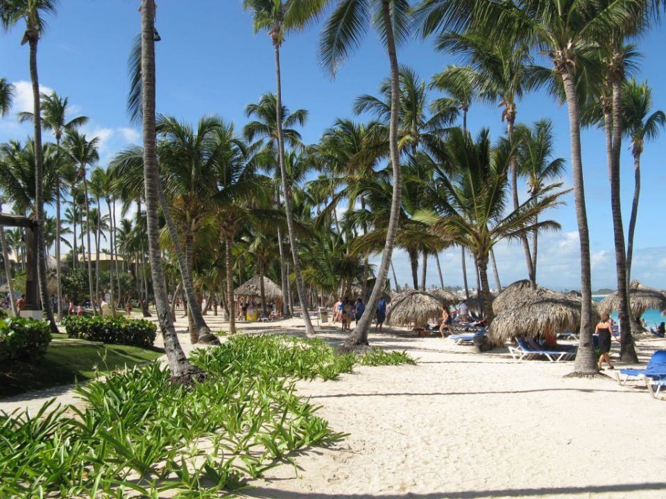 Strand Royalton Splash Punta Cana