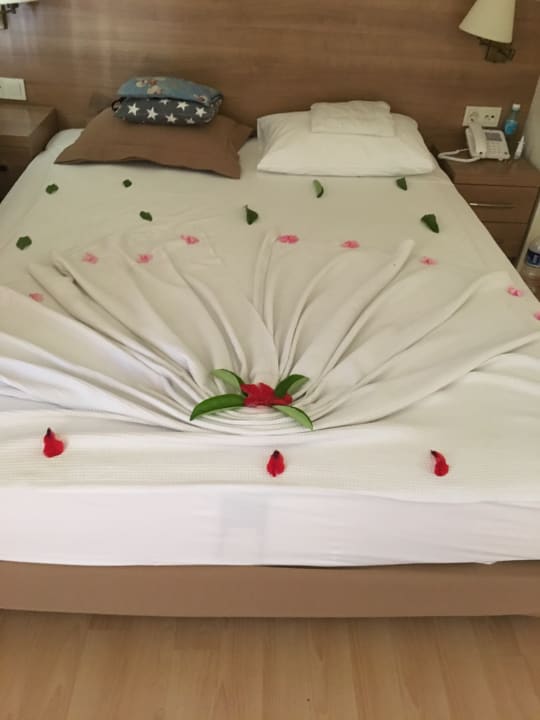 Zimmer Dream Family Club