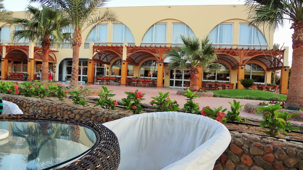 Вид на лобби Desert Rose