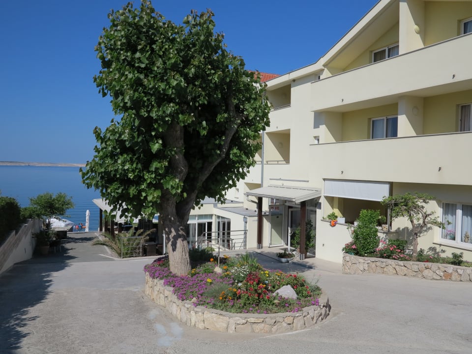 Lobby Hotel Villa 4m