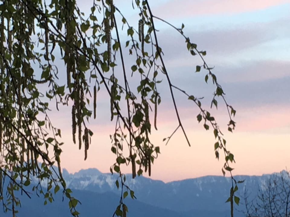 Ausblick Hotel Bacherhof