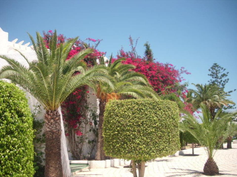 Tolle Gartenanlage El Mouradi Club Kantaoui