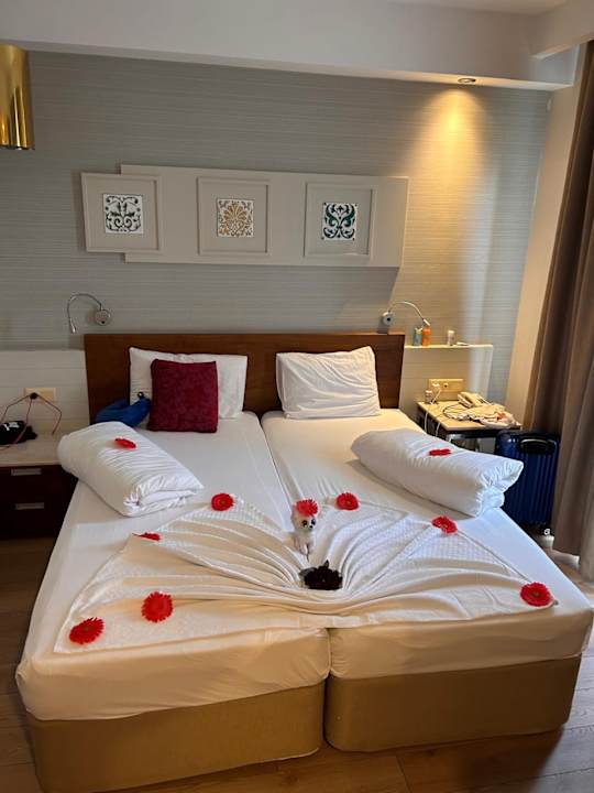 Zimmer Seher Sun Palace Resort & Spa