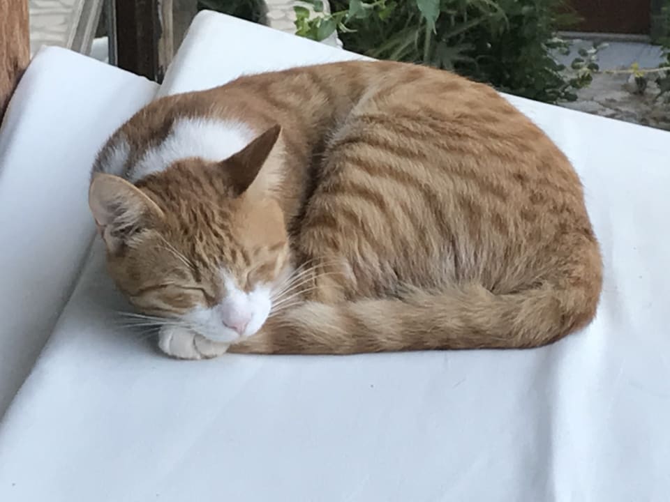 Sonstiges LYKIA lodge | home of happiness