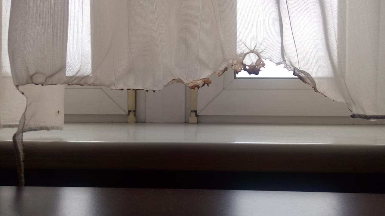 Zimmer Zur Krummen Eich