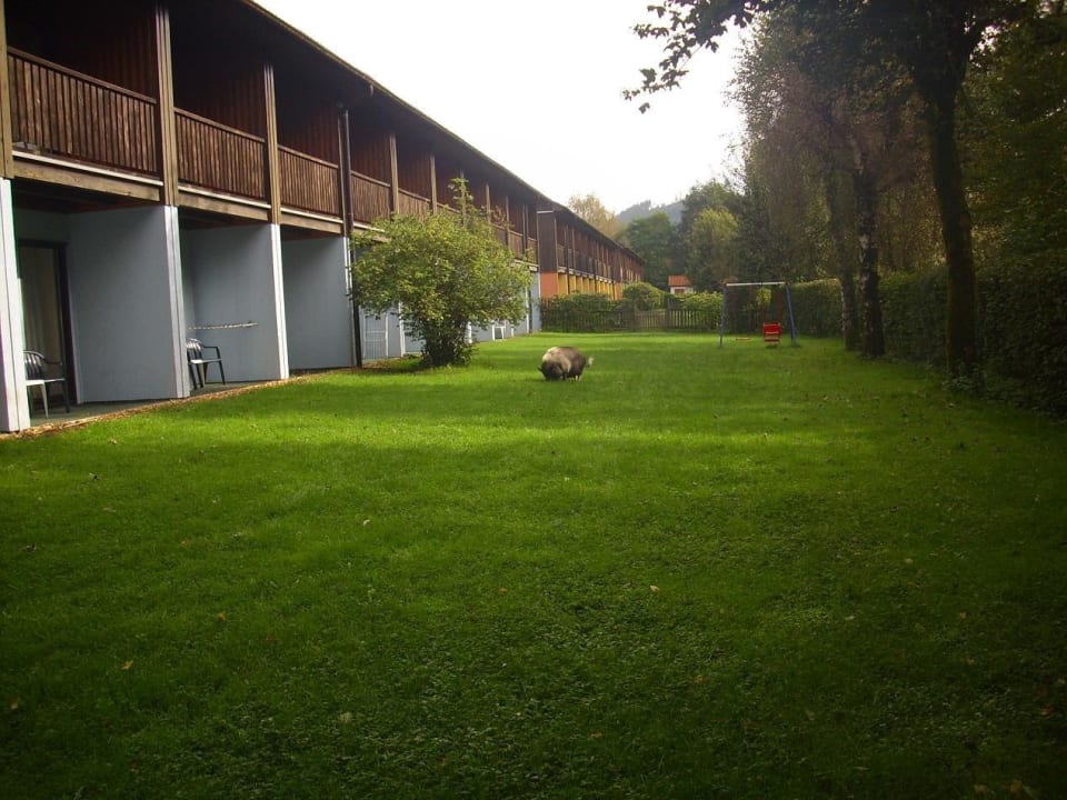 Blick von außen auf die Zimmer WAGNERS Hotel im Frankenwald