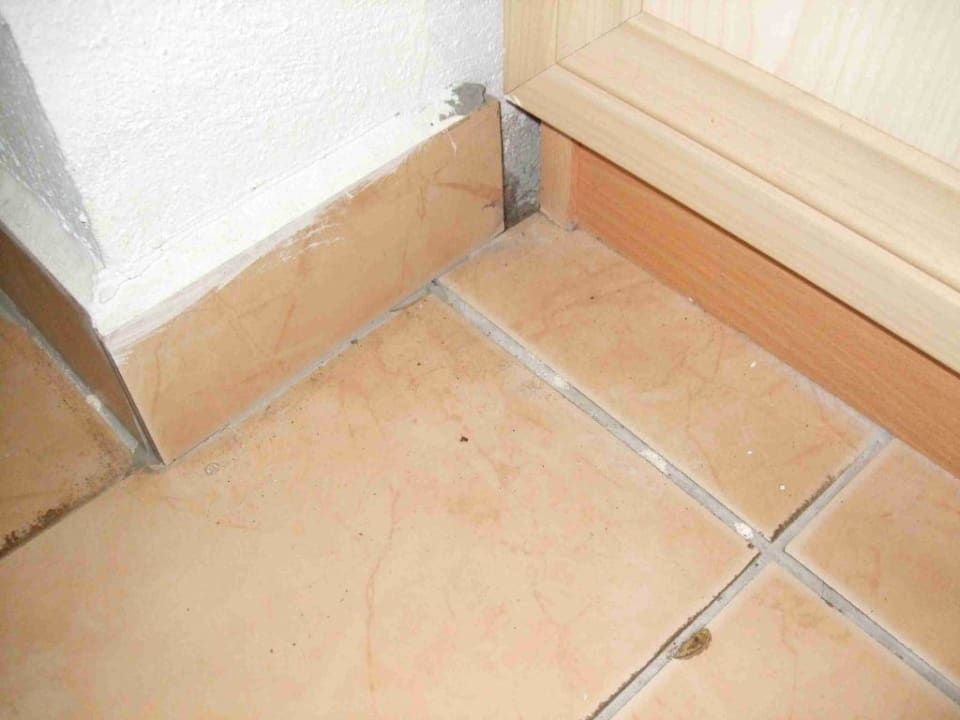 Verschmutztes Zimmer Papillon Belvil