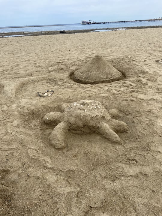 Strand Three Corners Equinox Beach Resort