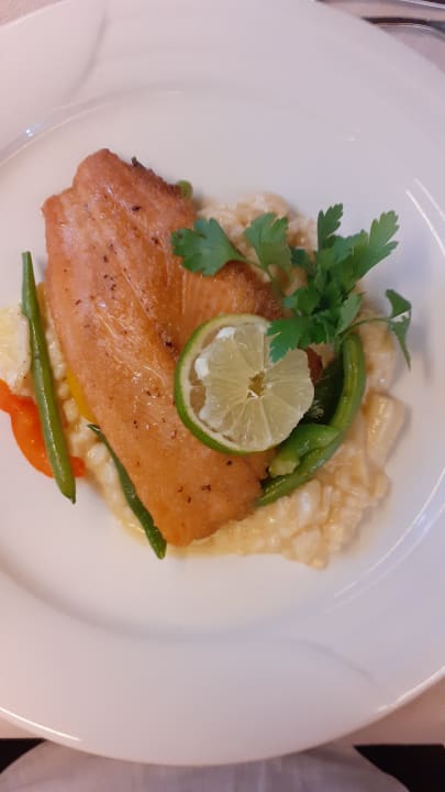 Gastro Hotel Traube am See