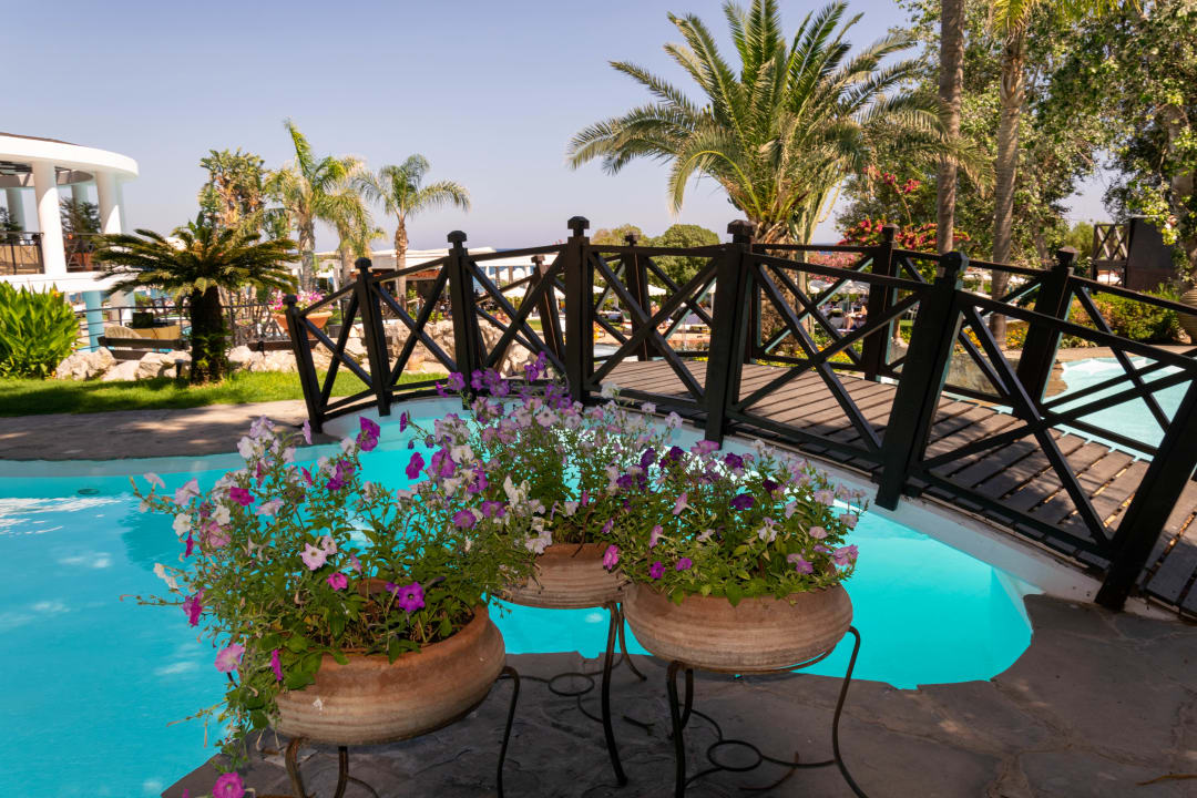 Pool Hotel Calypso Beach