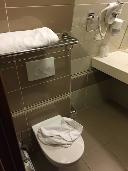 Bad Hotel Leul de Aur