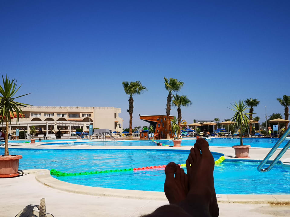 Pool Pickalbatros Royal Moderna Resort-Sharm El Sheikh