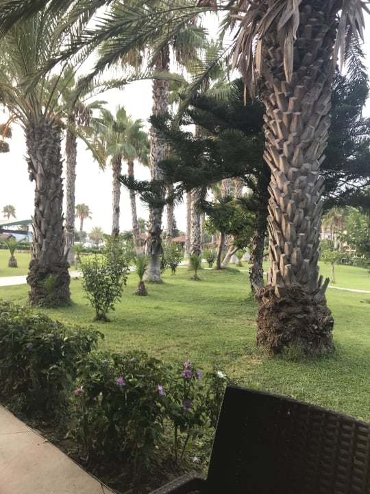 Gartenanlage Justiniano Park Conti