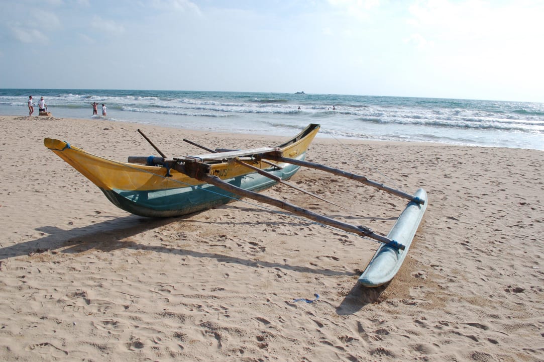 Strand Thaala Bentota