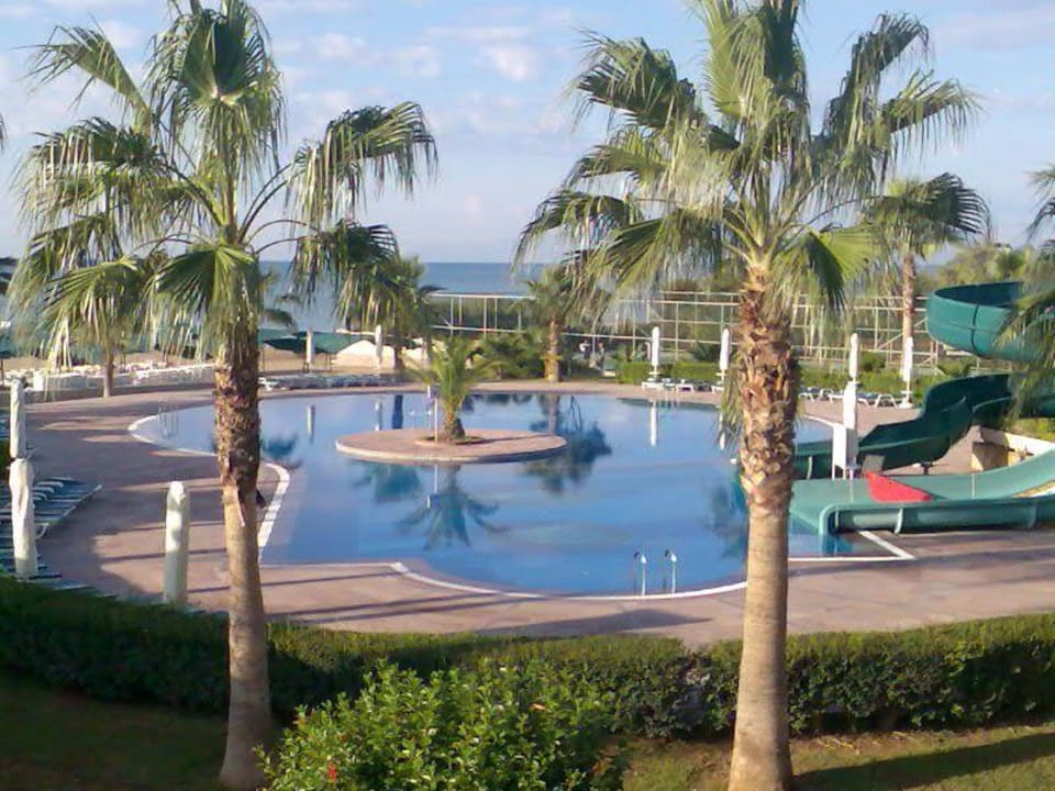 Pool Papillon Belvil