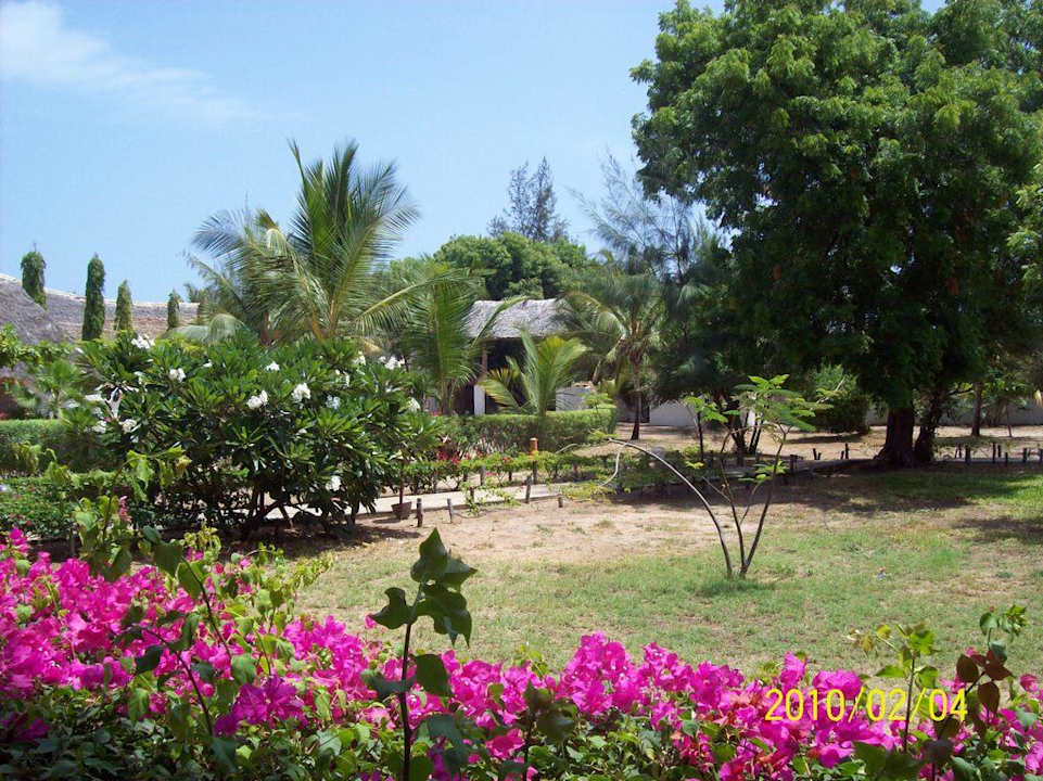 Gartenanlage Hoteleinfahrtsbereich Hotel Angel's Bay