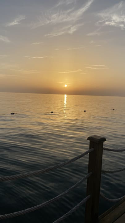 Ausblick Arum Barut Collection