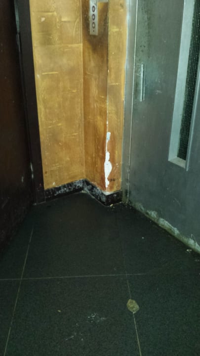 Aufzug im Gebäude Hotel Orfeus Park