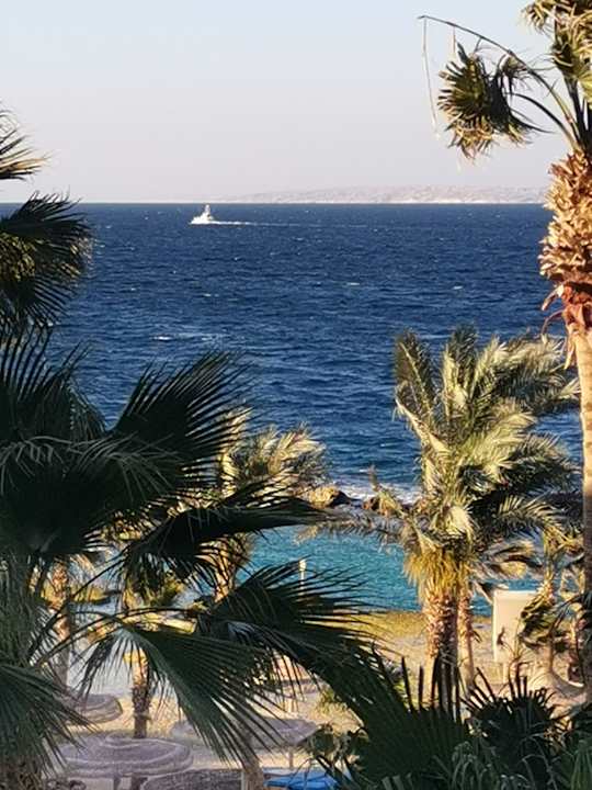 Ausblick Pickalbatros Citadel Resort